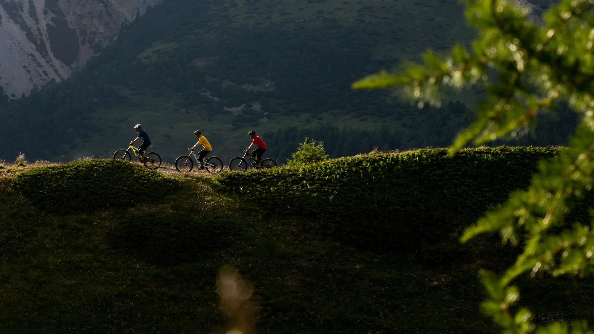 Seat Posts